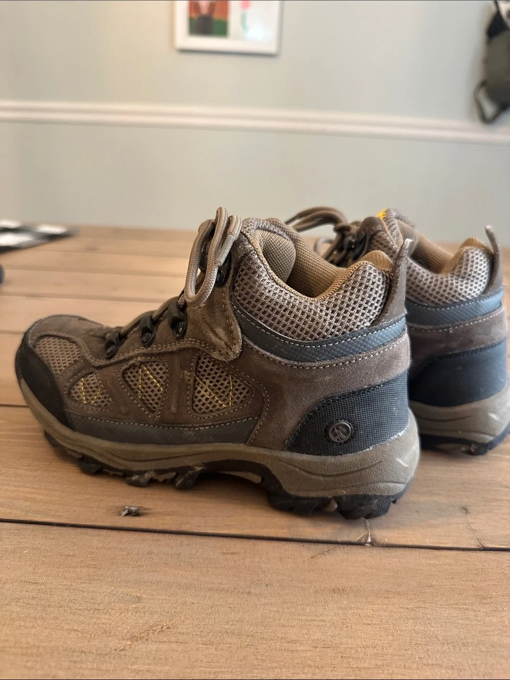 Northside Brown Kids' Hiking Boots with Black Accents